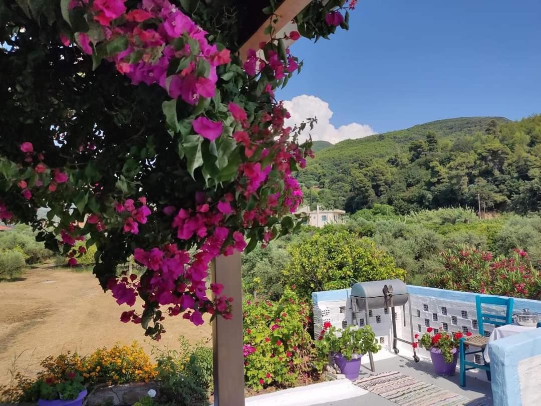 Villa Thea Kato Samikon Exteriér fotografie