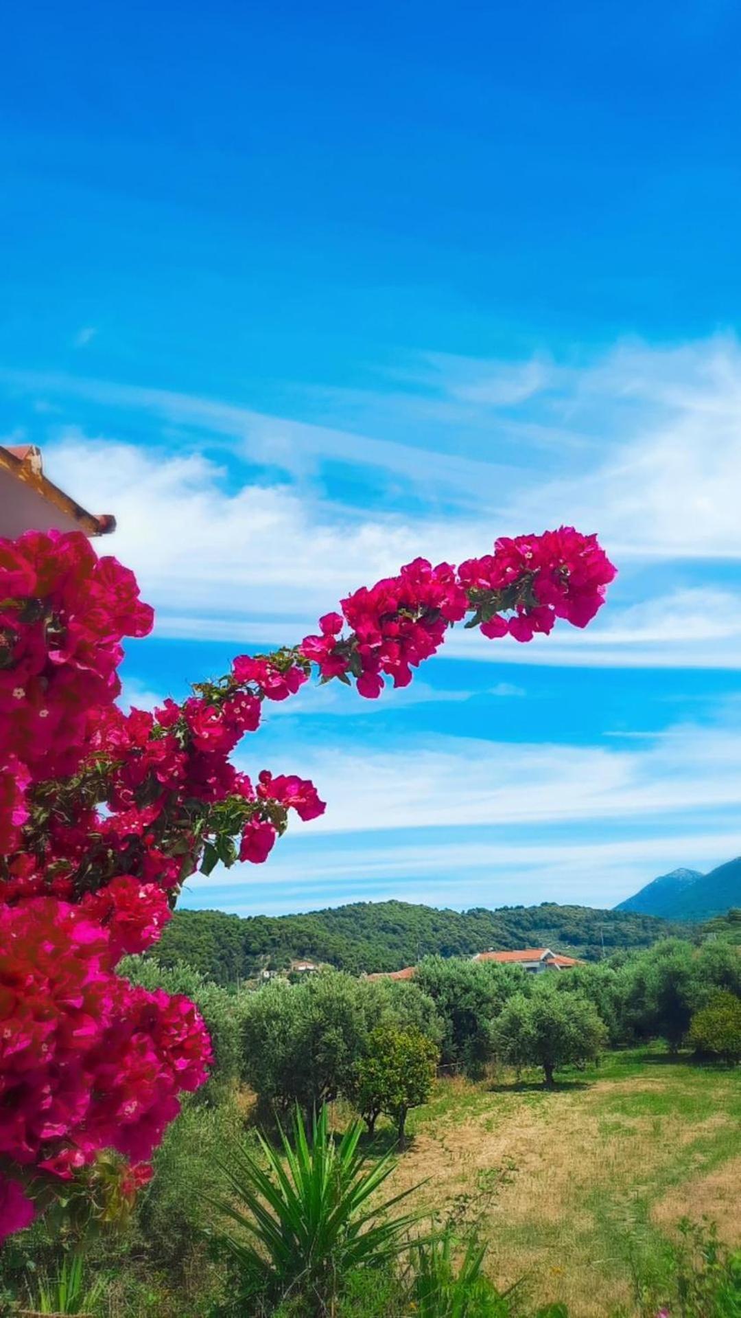 Villa Thea Kato Samikon Exteriér fotografie